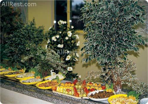 Ambiente Hotel 19